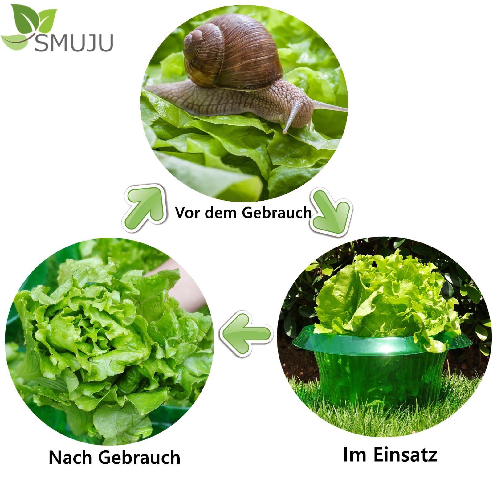 【24 Stück】12 Stück Schneckenkragen mit 12 Stück Insektenschutz-Taschen, 99% mehr Schneckenschutz, Schneckenschutzringe, zur Abwehr von Schnecken, für Ihre Salatpflanzen Tomaten Schützt, Grün