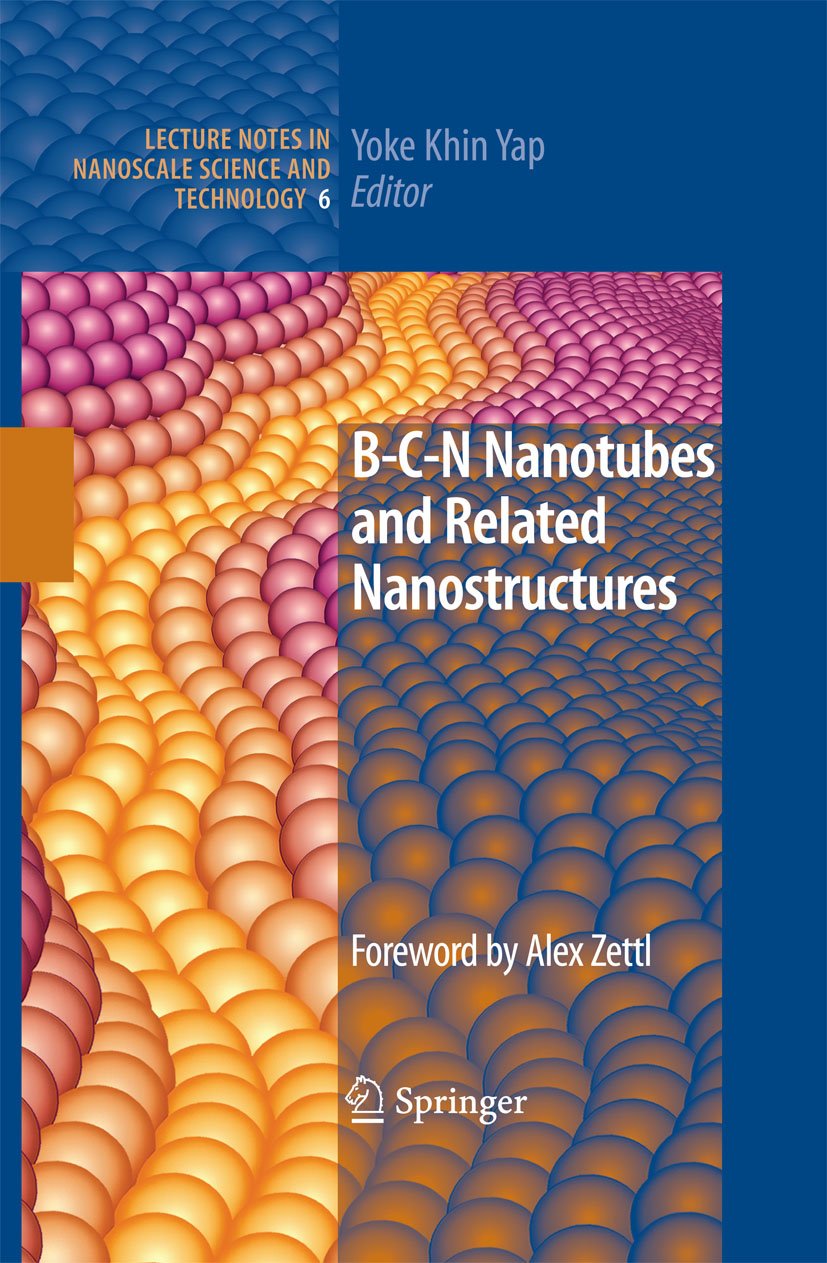 B-C-N Nanotubes and Related Nanostructures (Lecture Notes in Nanoscale Science and Technology Book 6)