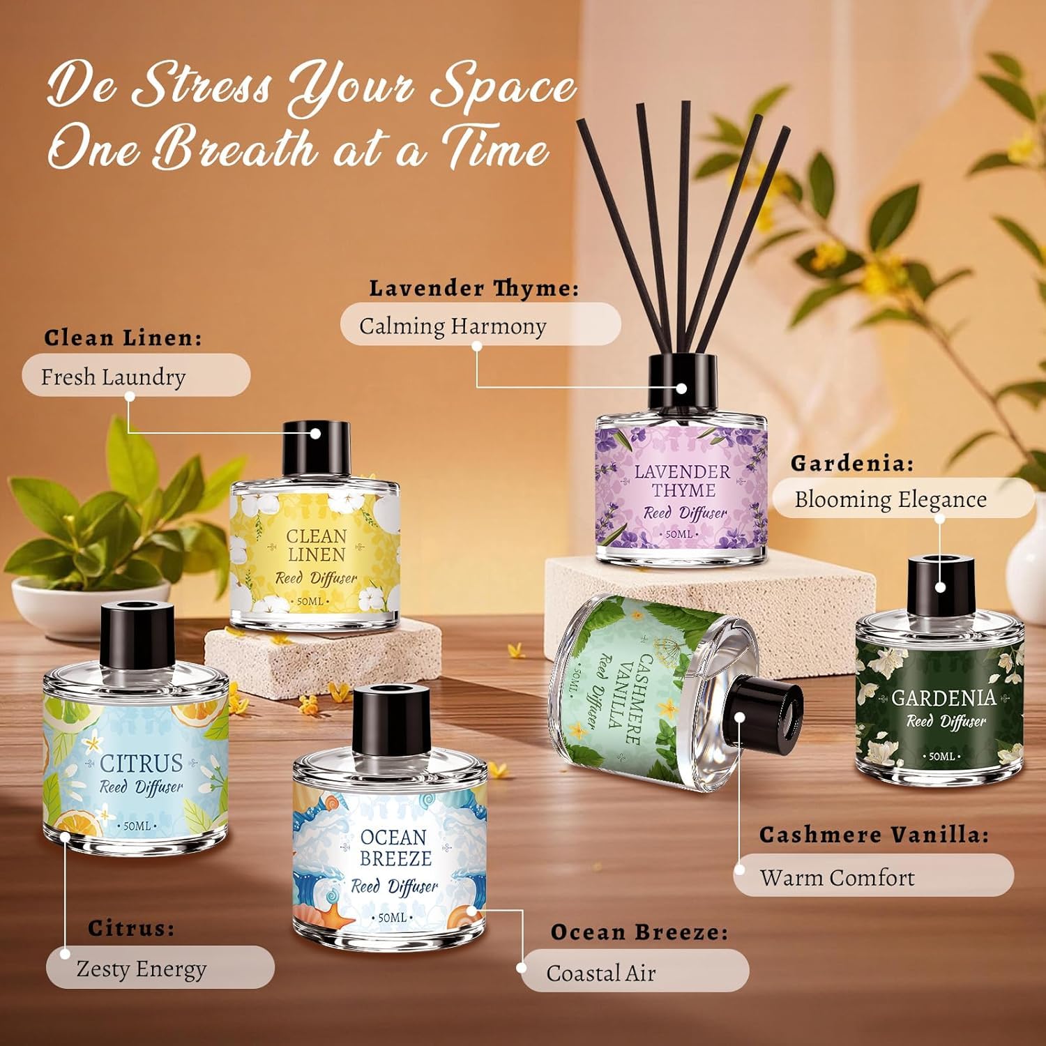 6 Stück Schilfrohr-Diffusor-Sets, ätherisches Öl, Schilfrohr-Diffusoren für Zuhause mit 24 Stäbchen, langanhaltender Duft, Geschenk, fertiger Duftdiffusor für Schlafzimmer, Badezimmer, Büro