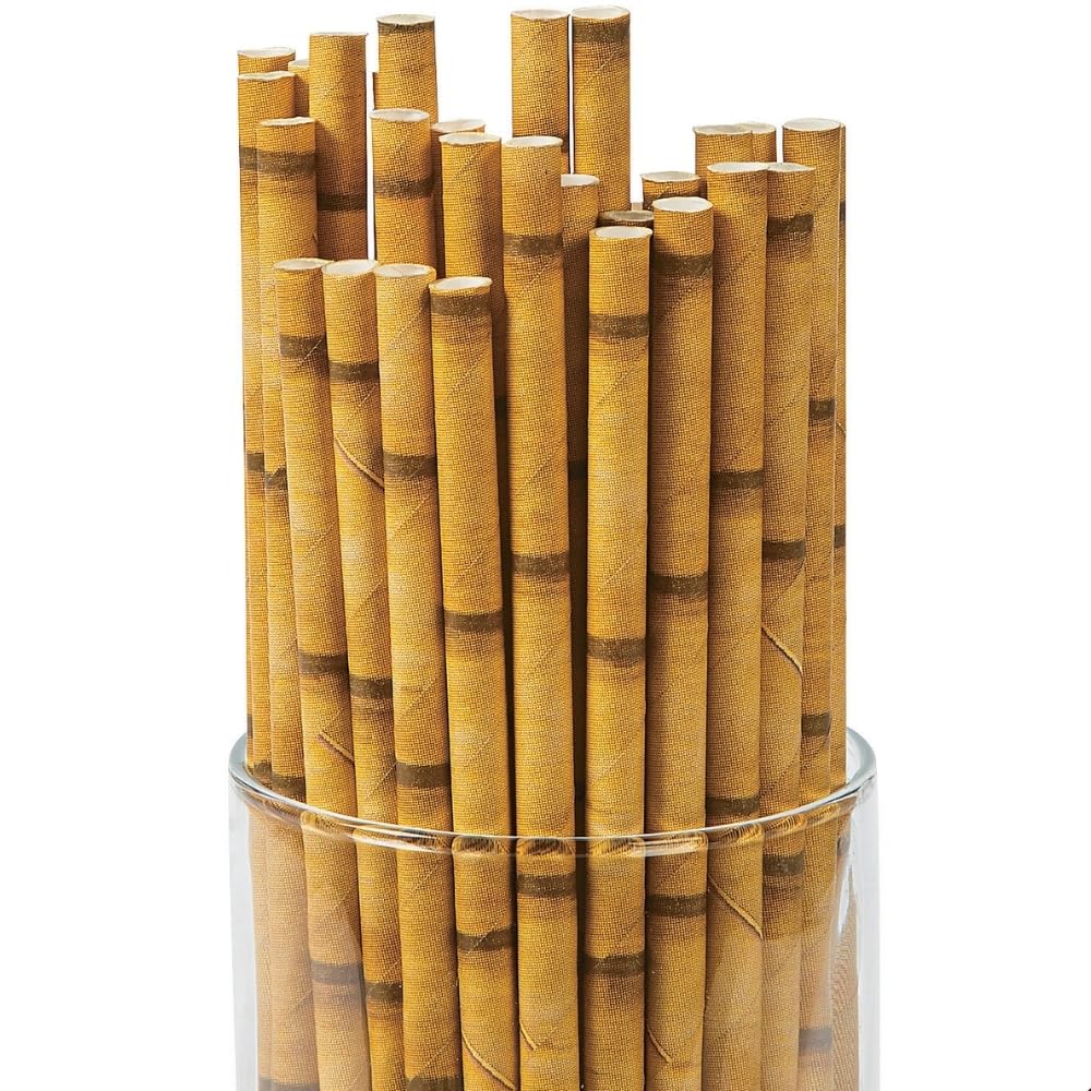 Fun Express BAMBOO PAPER STRAWS (24PC) - Party Supplies - VBS Vacation Bible School Supplies/Decor - 24 Pieces
