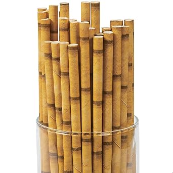 Fun Express BAMBOO PAPER STRAWS 24PC - Party Supplies - VBS Vacation Bible School Supplies/Decor - 24 Pieces
