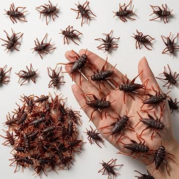 Homoyoyo Fake Plastic Cricket Prank Props,Plastic Grasshoppers Prank Fake Annoying Cricket, Realistic Halloween Props, Funny s for Adults for April Fools Day, Pack of 50