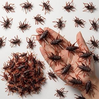 Homoyoyo Fake Plastic Cricket Prank Props,Plastic Grasshoppers Prank Fake Annoying Cricket, Realistic Halloween Props, Funny s for Adults for April Fools' Day, Pack of 50