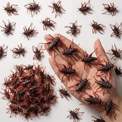 Homoyoyo Fake Plastic Cricket Prank Props,Plastic Grasshoppers Prank Fake Annoying Cricket, Realistic Halloween Props, Funny s for Adults for April Fools' Day, Pack of 50