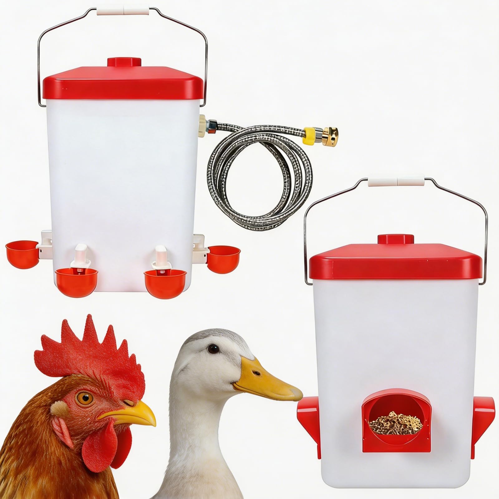 Set Comedero y Bebedero Automático para Gallinas en Blanco y Rojo, Comedero Gallinas Anti Ratas con Manguera de Riego y Kit Completo de Accesorios de Montaje