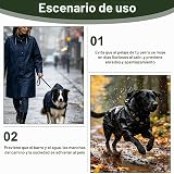 Ver la foto 5