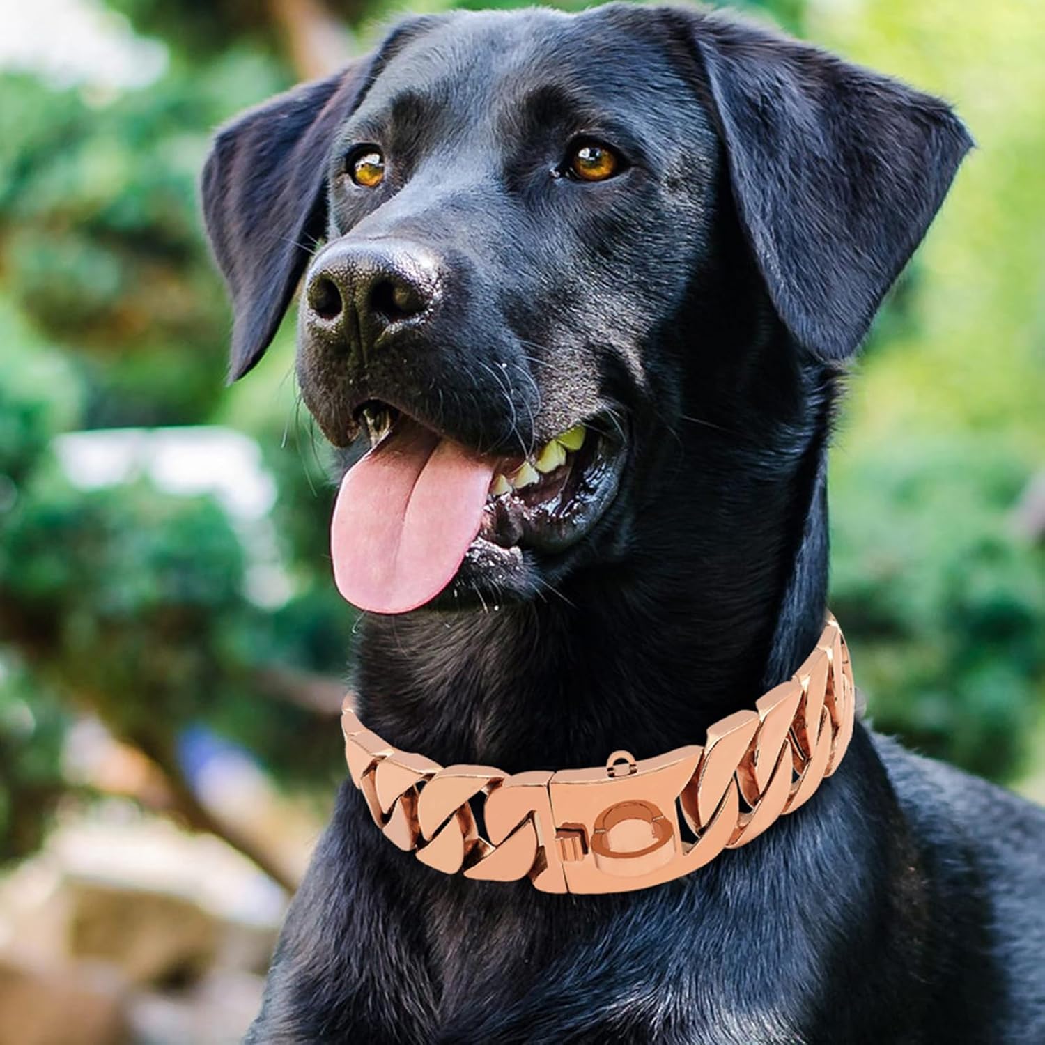 Big Dog Chain Collar with Buckle Strong Heavy Duty, 32mm Cuban Link Walking Training Collar with Design Safety Buckle, Stainless Steel Metal Cuban Link Chain Collar,Rose Gold,45cm/18in