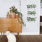 XXXFLOWER Station de propagation avec support en bois 5 Tubes d'essai en verre 3 Planters à niveaux Terrarium mural pour la maison Bureau Plante Hanger Vases de fleurs Décor mural Découpes hydroponiques