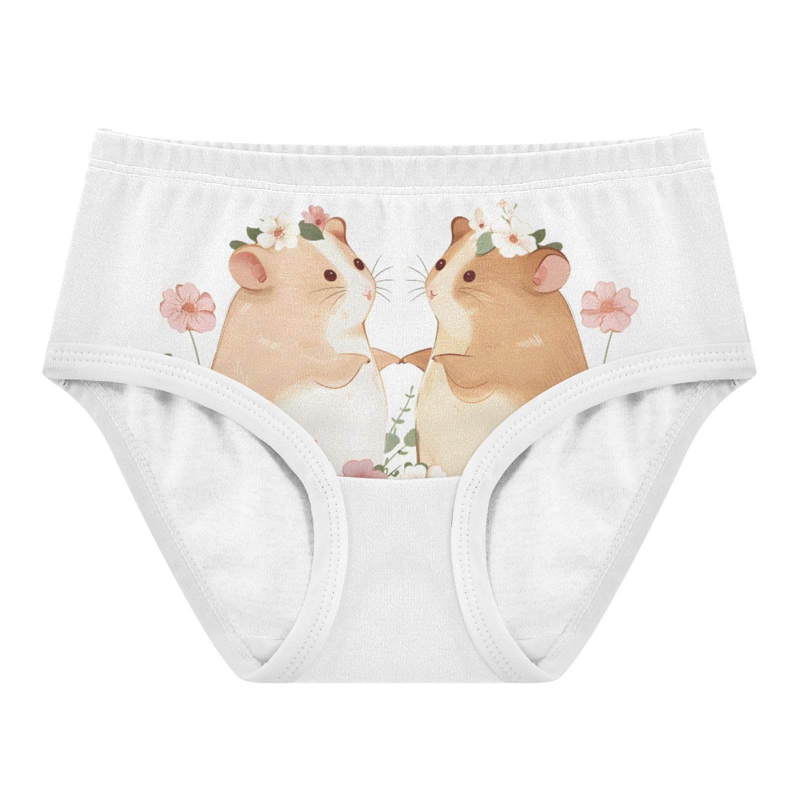 ALAZA Toddler Girls Cotton Hipster Underwear Soft Hamster Garden 2 Pack 2T