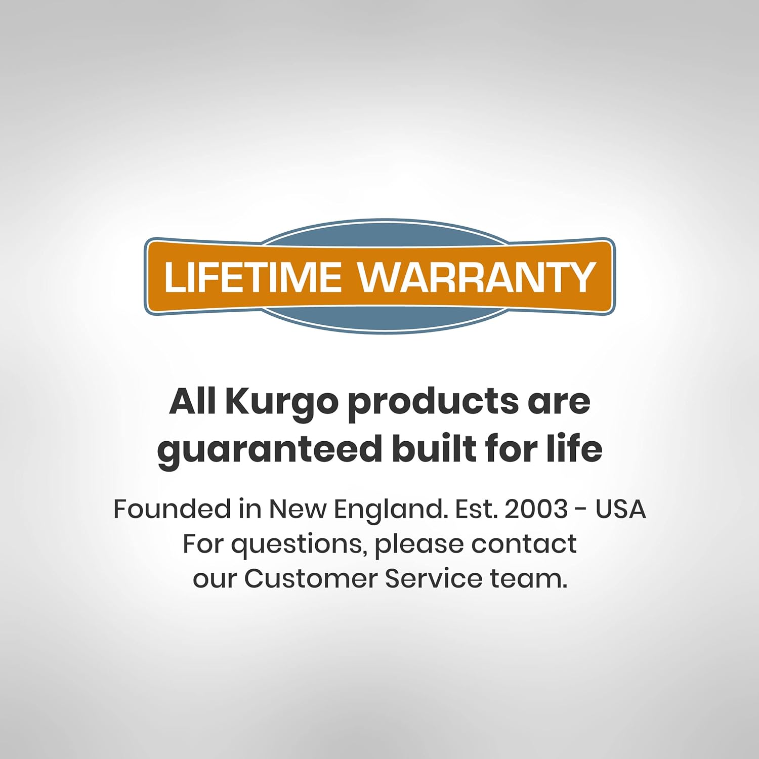 Kurgo Dog seat belt Pet Safety Tether with Carabiner, Tru-Fit Enhanced Strength Replacement Tether, Use with Car Safety Dog Harness, seat belt Tether (Black/Grey) : Automotive Pet Harnesses : Pet Supplies