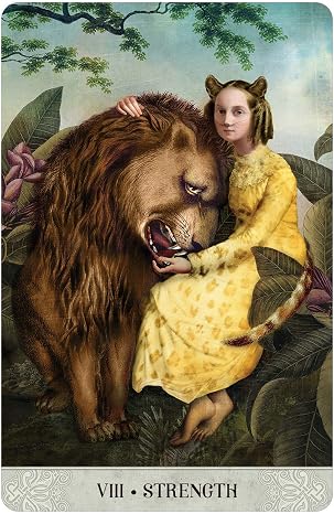 Tarot of Mystical Moments: 83-Card Borderless Tarot Deck, Silver Gilt Edges and Glossy Finish, Created by Visionary Artist Catrin Welz-Stein, Collage ... for Customizable Readings, 96-Page Guidebook