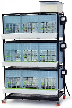Hatching Time 15" Chick Brooders Stackable & 2-Section Options, Automatic Heating, Easy-Clean Tray, Includes Feeders & Drinkers, Perfect for Quail, Chickens, Ducks & Baby Birds 3 Layer