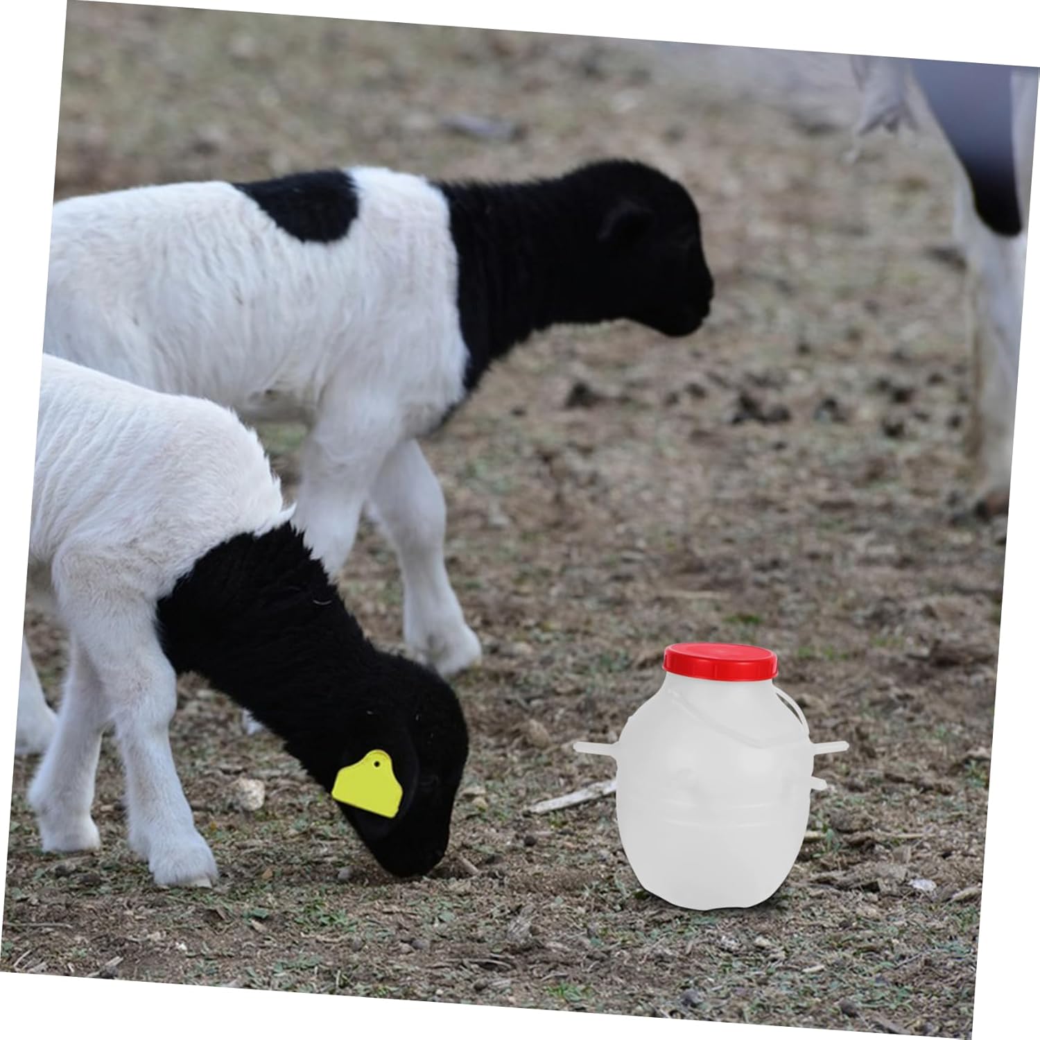 Sosoport Goat Calf Feeding Bucket Silicone Nipple Lamb Feeder for Young Livestock Design for Calves and Sheep Animal Feeding Bottle