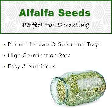 USDA Organic Alfalfa Sprouting Seeds | 1 Pound | Perfect for Sprouting & Microgreens, Premium Alfalfa Sprout Seeds, Non-GMO