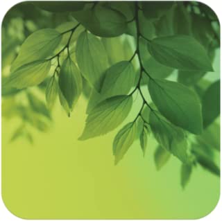 Galaxy S4 Green Leaf Pro