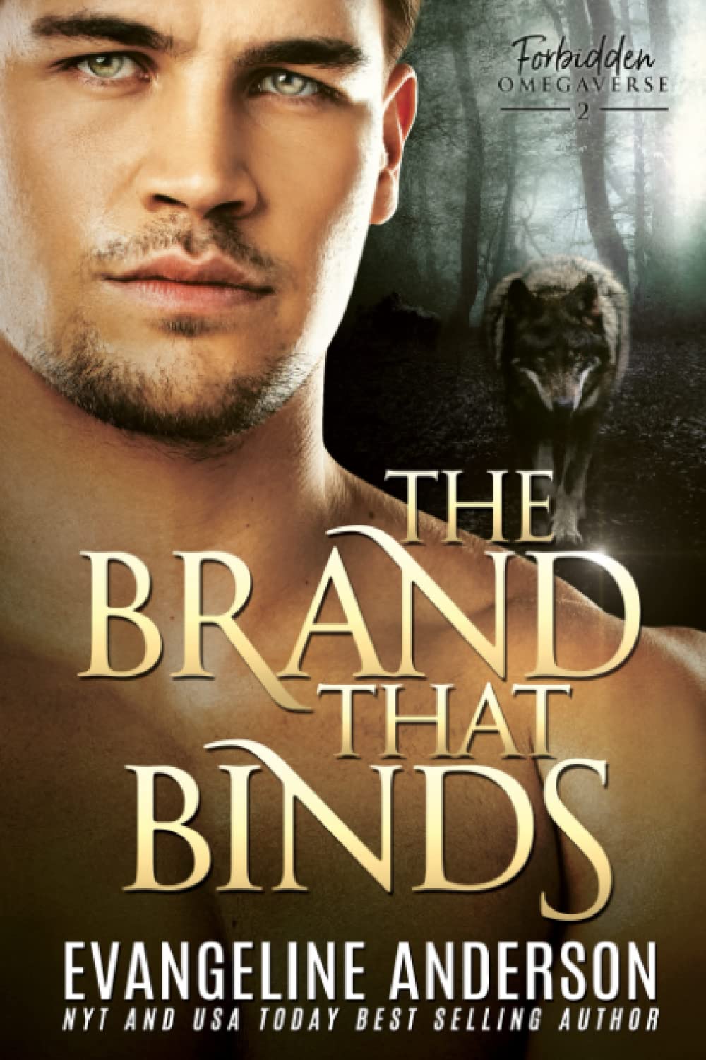 Cover of The Brand That Binds