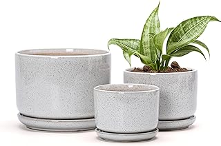 Ton Sin Plant Pots, 4.1+5.1+6.5 inch, Set of 3, Ceramic Planters with Dr...