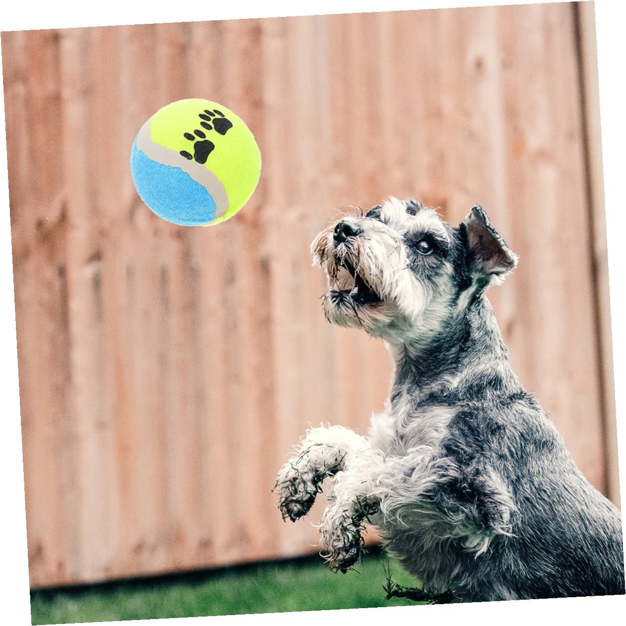 Toddmomy 16pcs Dog Fetch Balls Plush Tennis Balls for Medium and Small Dogs 7cm Diameter Soft Puppy for Training and Outdoor Exercise Random Color