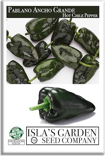 Semillas de pimiento Poblano Ancho Grande (Capsicum annuum) – Más de 50 semillas tradicionales sin OMG de Isla's Garden Seeds, sabor suave y