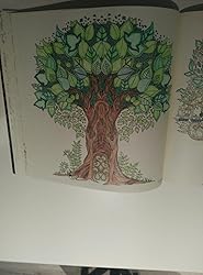 Enchanted Forest: An Inky Quest and Coloring book (Activity Books