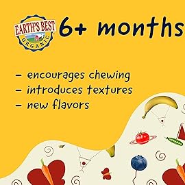 Earth\'s Best Organic Baby Food Pouches, Wholesome Breakfast Puree for Babies 6 Months and Older, Organic Banana Blueberry and Oat Puree, 3.5 oz Resealable Pouch (Pack of 12)