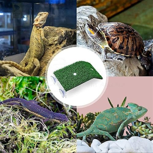 Miniatura 5 de Plataforma para tomar tortuga césped tortuga descansando plataforma simulación hierba tortuga rampa tortuga rampas tortuga hábitat tortuga terraza