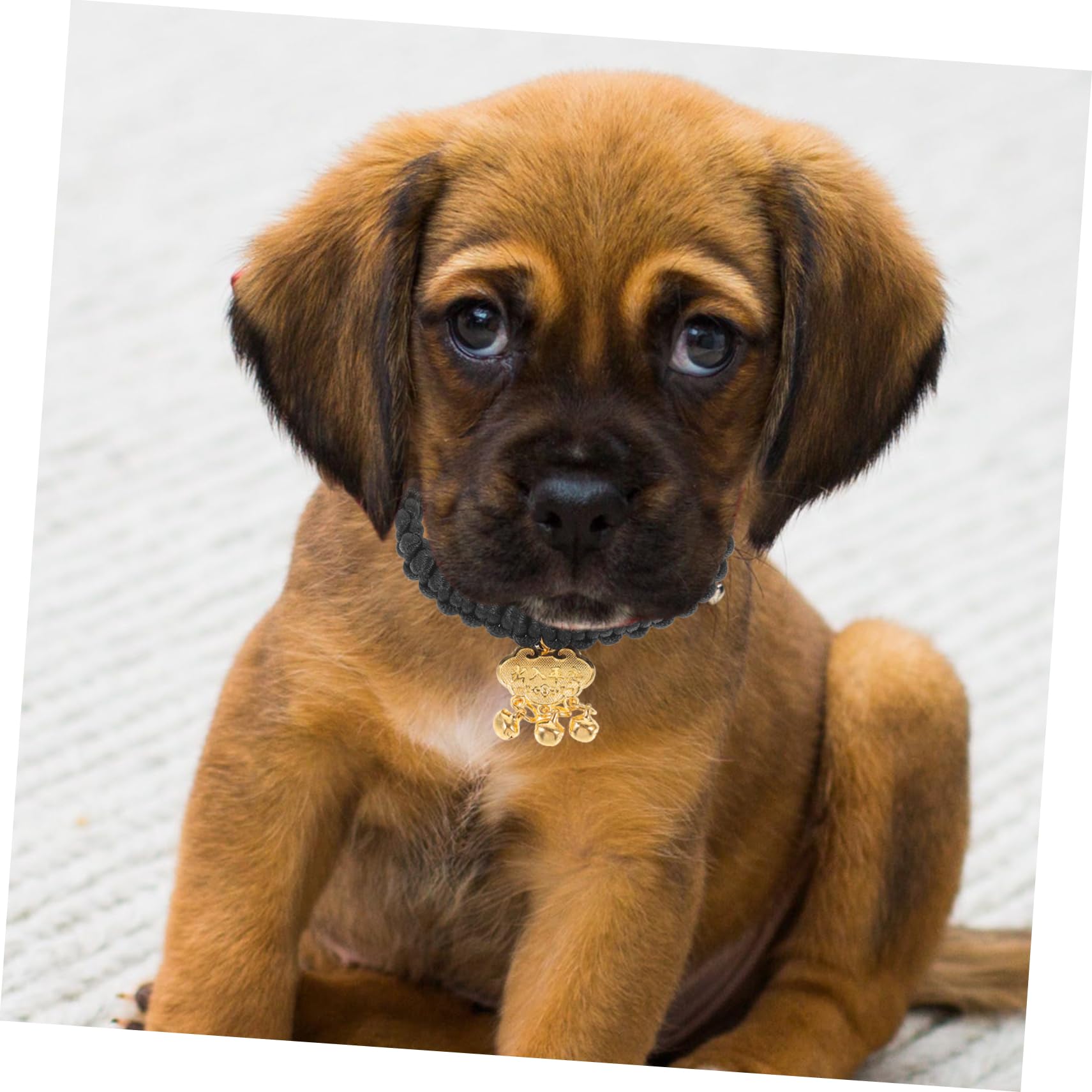 HAPINARY Gold Lock Necklace for Cats Dogs Pet Collar Bell Decorative Pet Accessory Crafted Metal Bell Random Style