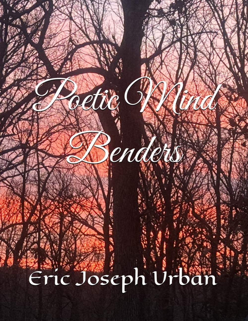 Poetic Mind Benders