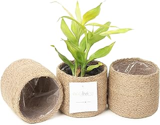 Jute Planter Basket-Woven Jute Rope Covers for Decorating Indoor/Outdoor...
