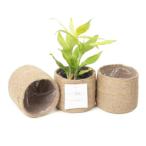 Jute Planter Basket-Woven Jute Rope Covers for Decorating Indoor/Outdoor Succulents,