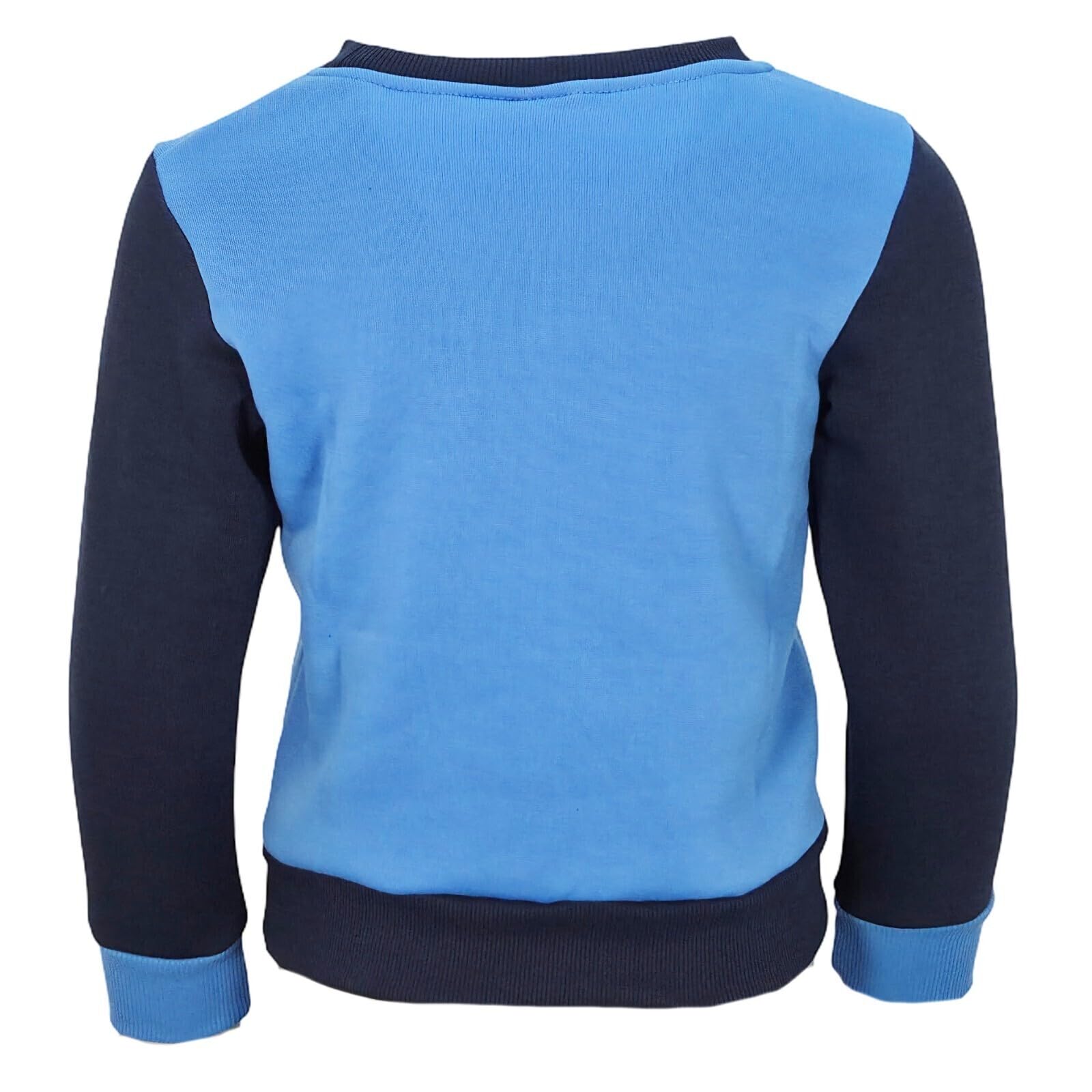 Paw Patrol Jungen Pullover Chase & Marshall – Kinder Sweatshirt mit Langarm – Größen 92–128 – Weicher Pulli aus Polyester in Blau oder Grau