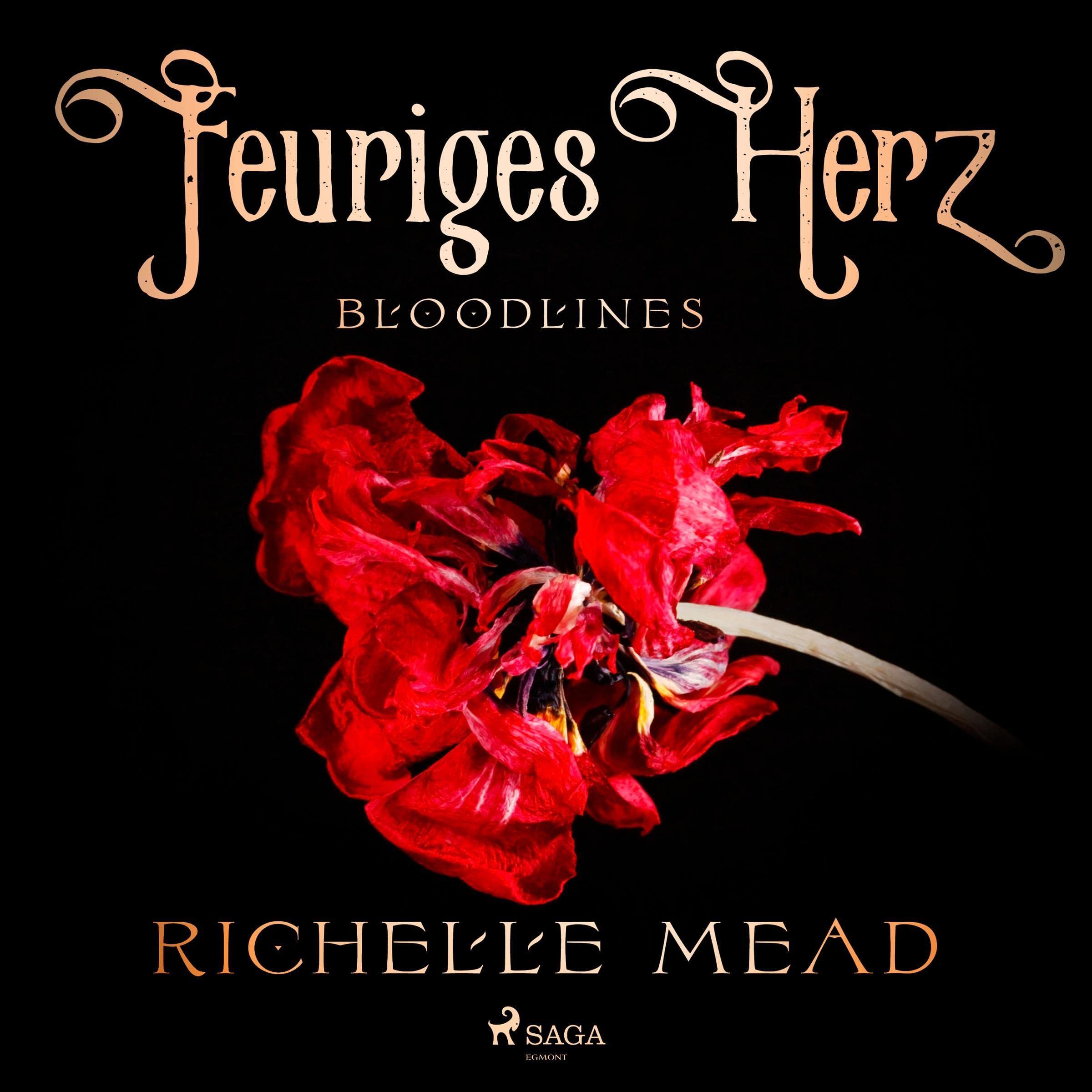 Cover art for Feuriges Herz