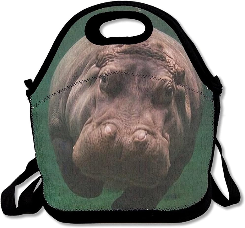 Starogs Reusable Lunch Bag Diving Hippo Food Handbag Custom Lunch Holder Printed Lunch Tote Bag Multi-function Lunch Box Organizer For Adults And Kids