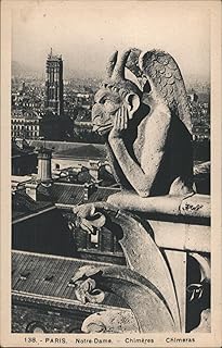 Notre-Dame Chimeres, Paris Rooftops View, France Original Postcard