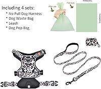 Vista 26 de Petmolico - Juego de arnés para perro sin tirones, 2 correas de sujeción con asa de fácil control, chaleco reflectante para razas pequeñas, arnés