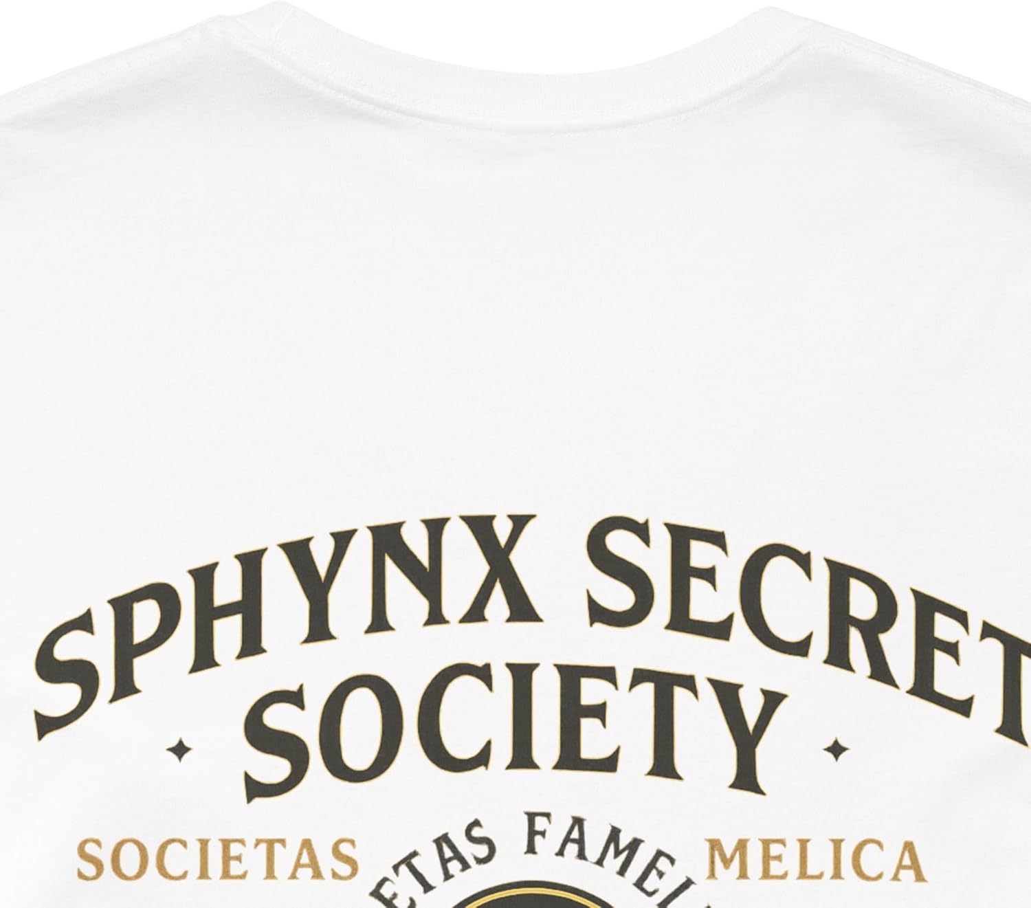 Sphynx Cat Graphic T Shirt – Unisex Bella Canvas Tee