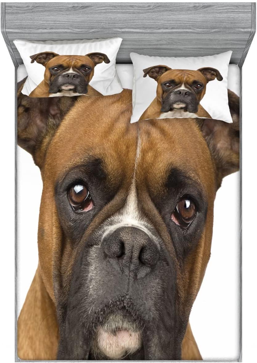 Ambesonne Boxer Dog Fitted Sheet & Pillow Sham Set, Front View 2 Years Old Purebred Boxer Dog Animal Photo, Decorative Printed 6 Piece Bedding Decor Set, Full, Pale Brown