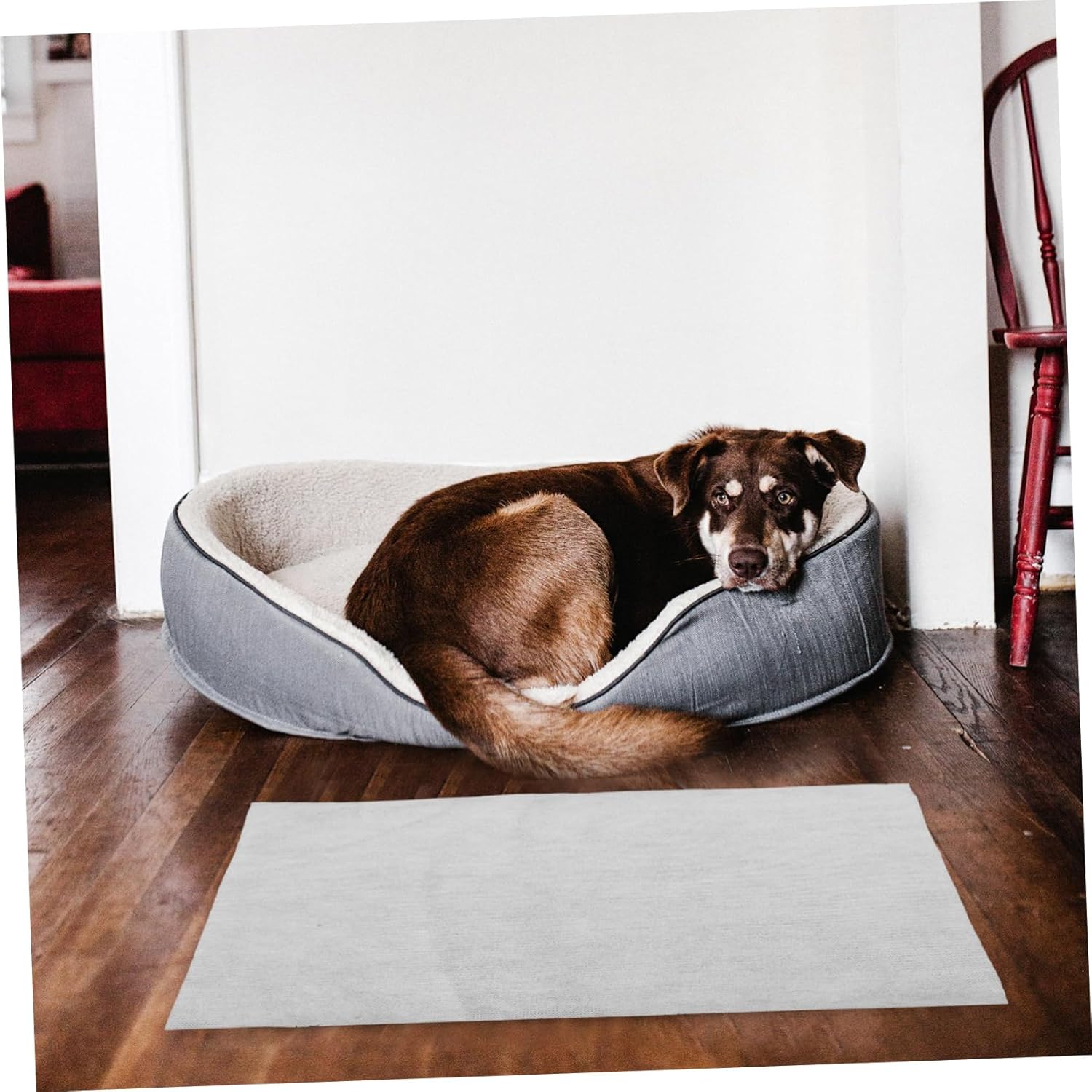 100pcs Pet Pee Pads for Dogs Quick Dry Non Slip Absorbent Potty Mats for Training Puppies and Small Animals Fast Absorption Leakproof for Home Use