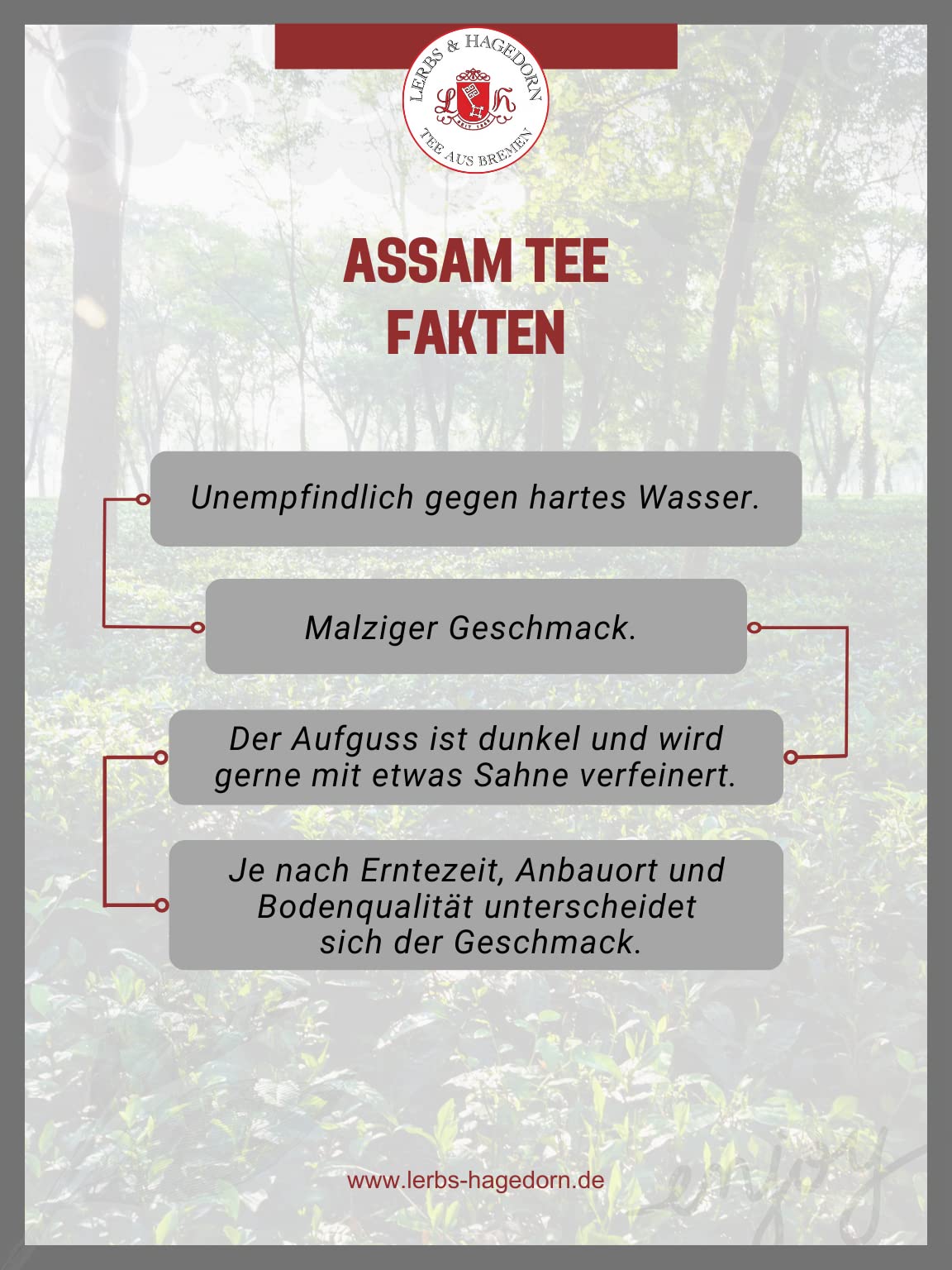 Lerbs & Hagedorn Bremen Assam FTGFOP1 Tonganagaon 1 kg Bio Tee Tasche