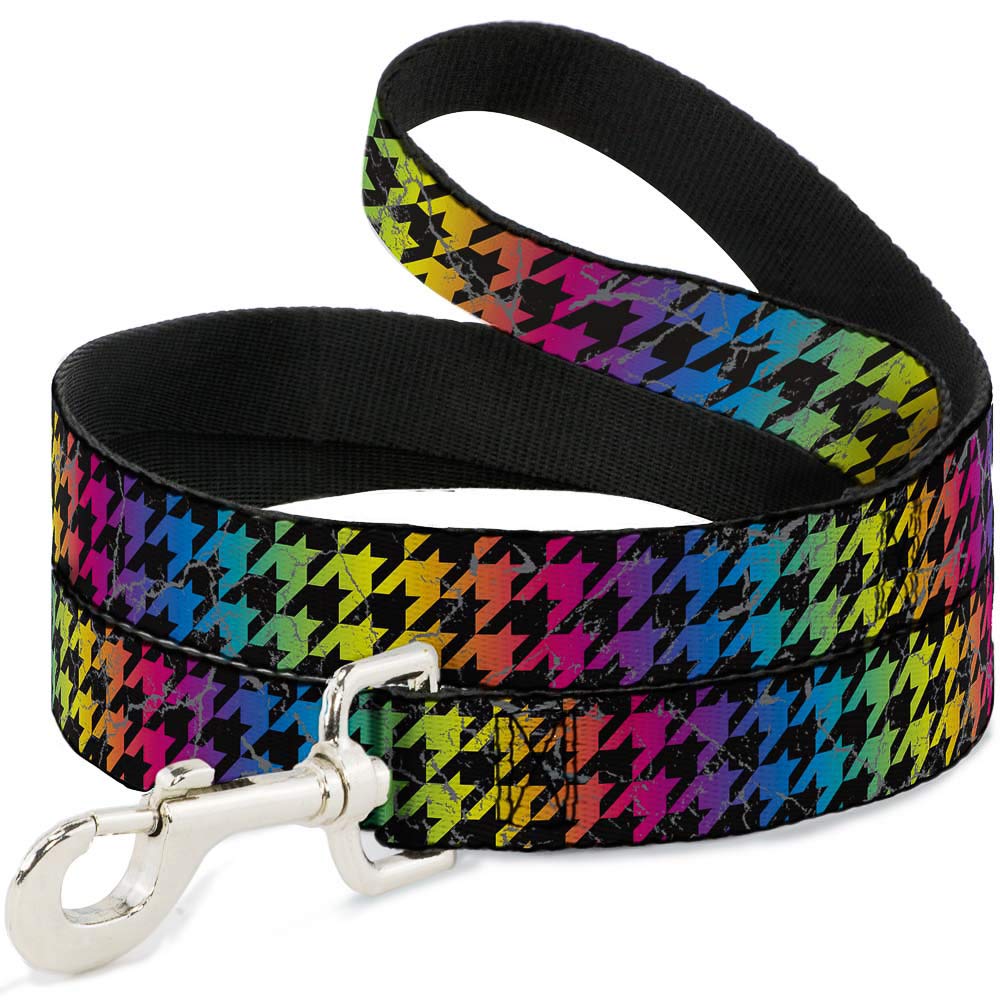 Collier de chien Buckle Down idéal pour les balades quotidiennes et parcs