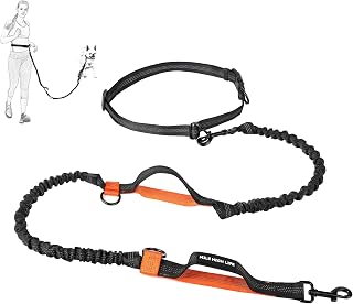 Mile High Life Manos Libres retráctiles para Perros Leash Bungees Negros Dobles Reflectantes (213CM, Naranja)