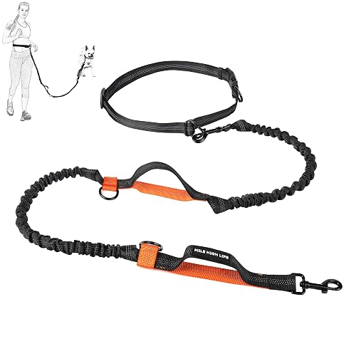 Mile High Life Manos Libres retráctiles para Perros Leash Bungees Negros Dobles Reflectantes (213CM, Naranja)