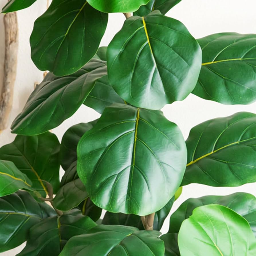 Amazon|HGJH 人工観葉植物 フェイクグリーン 80cm 大型 インテリア Amazon|HGJH 人工観葉植物 フェイクグリーン 80cm 大型 インテリア