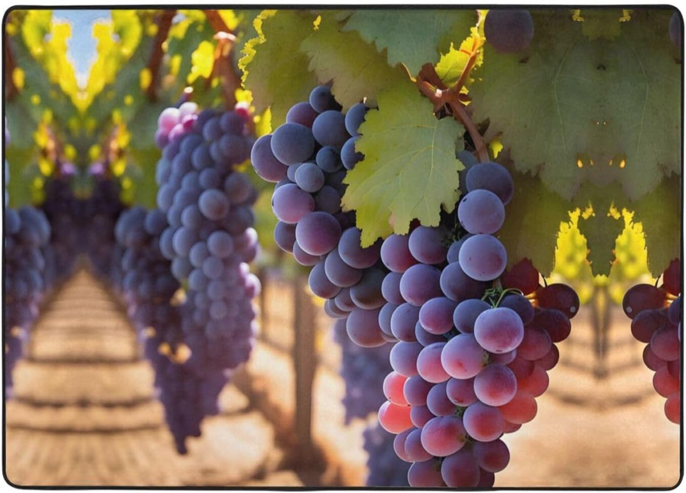 Desert Grapes Printed Floor mat 80x58 inches, Non-Slip Decorative Carpet for Bedroom and Living Room