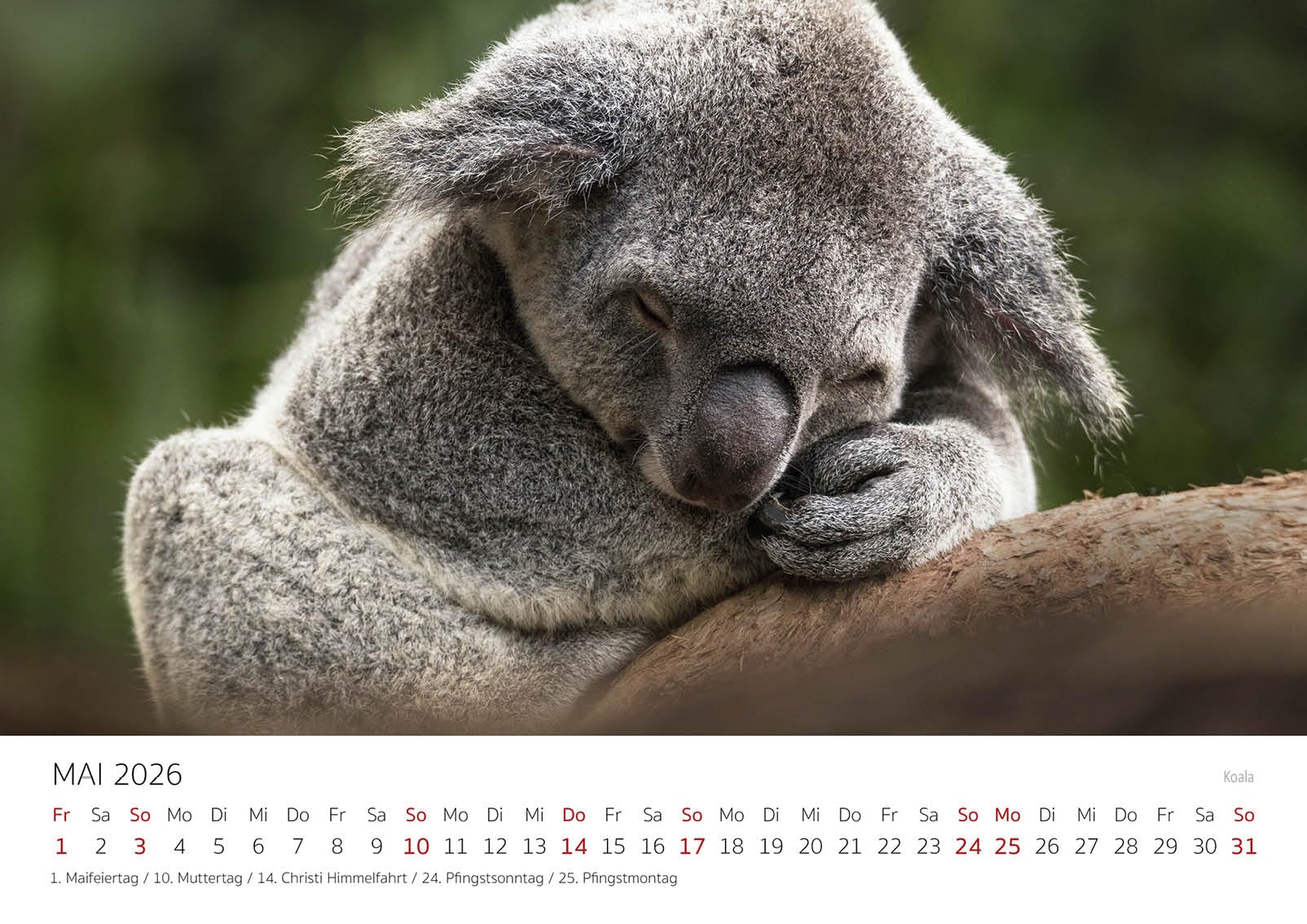 Edition Seidel Premium Kalender Faszinierendes Australien 2026 Format DIN A3 Wandkalender Pazifik Sydney Melbourne Tasmanien Nationalpark Uluru Ayers Rock