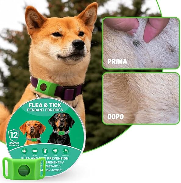 Collar natural para perros – 2 unidades, con aceites esenciales, reutilizable, para perros pequeños y grandes, flexible y ligero - 4