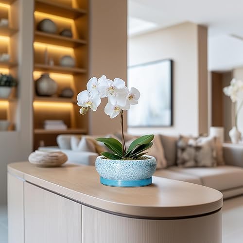 Miniatura 5 de Macetas para bonsái pequeñas de 6 pulgadas con orificio de drenaje y platillo, macetas para suculentas para interiores y exteriores, maceta poco