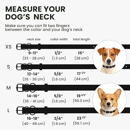 Miniatura 8 de BRONZEDOG Collar de perro de cuero enrollado para perros pequeños, medianos y grandes con etiqueta QR ID (S 12-14 pulgadas, azul océano)