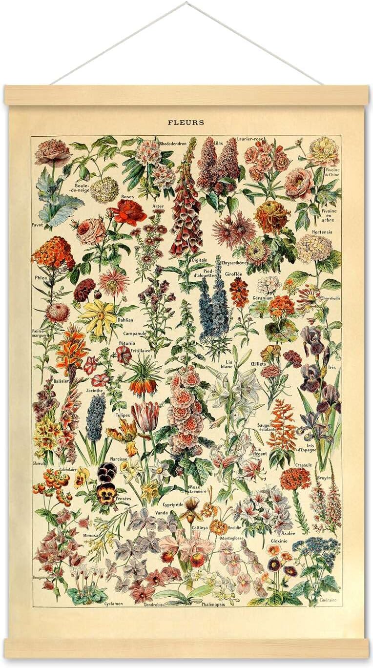 Meishe Art Vintage Poster Print Flower Floral Botanical Collections Garden Flowers and Plants Identification Reference Chart Diagram Framed Home Wall Decor
