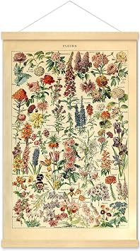 Meishe Art Vintage Poster Print Flower Floral Botanical Collections Garden Flowers and Plants Identification Reference Chart Diagram Framed Home Wall Decor